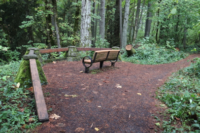 Legacy Creek Trail – overlook with bench